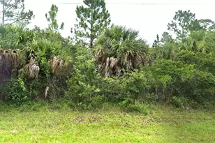 13352 Johannes Ave, Port Charlotte, FL 33953 - Photo 1