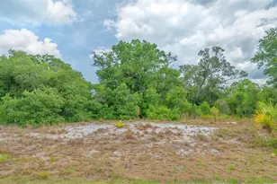 Levee St, North Port, FL 34288 - Photo 1