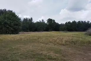 9236 Tolbert Stephens Rd, Ona, FL 33865 - Photo 1