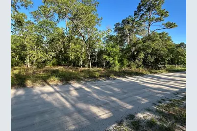 Ne 139th Avenue, Williston, FL 32696 - Photo 1