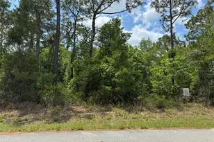 Lot 77 Waterbird Way, Brooksville, FL 34613 - Photo 1