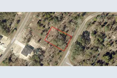 9038-1243-22 Fisher Lane Way, Ocklawaha, FL 32179 - Photo 1