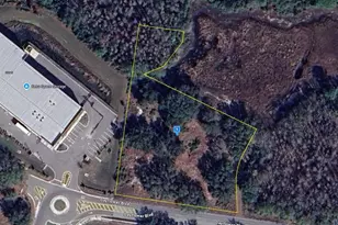 27561 Dayflower Blvd, Wesley Chapel, FL 33544 - Photo 1