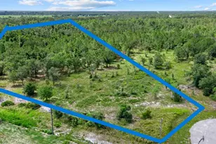 2025 409th Ct E, Myakka City, FL 34251 - Photo 1