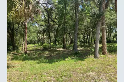 12350 W Riverwood Drive, Crystal River, FL 34428 - Photo 1