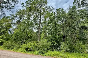 Westpoint Dr, Wesley Chapel, FL 33544 - Photo 1