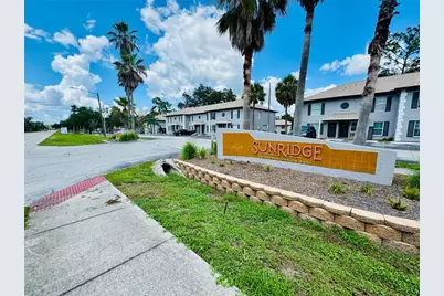 5238 Sunridge Palms Drive, Tampa, FL 33617 - Photo 1