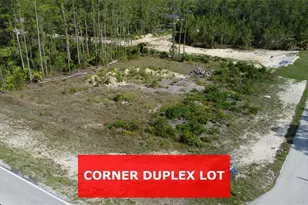 345/347 Greenbriar Blvd, Lehigh Acres, FL 33972 - Photo 1