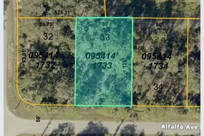 Alfalfa Avenue, North Port, FL 34291 - Photo 1