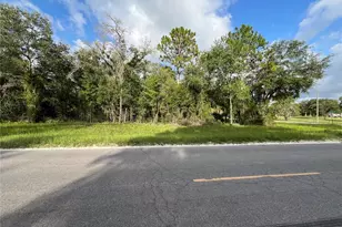 Tbd SE County Road 337, Morriston, FL 32668 - Photo 1