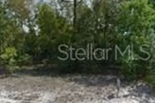 3513 W Marshal Pl, Dunnellon, FL 34433 - Photo 1