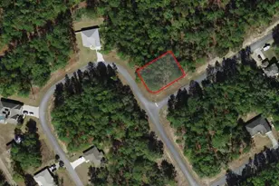 7282 N Freeport Cir, Citrus Springs, FL 34434 - Photo 1