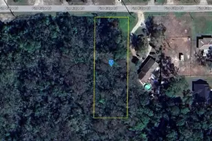 11306 Pine Ridge Rd, Leesburg, FL 34788 - Photo 1