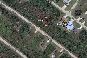 14168 Salvatierra Ln, Port Charlotte, FL 33981 - Photo 1