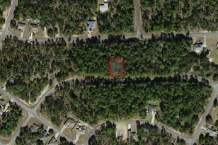 899 W Bannister Dr, Citrus Springs, FL 34434 - Photo 1