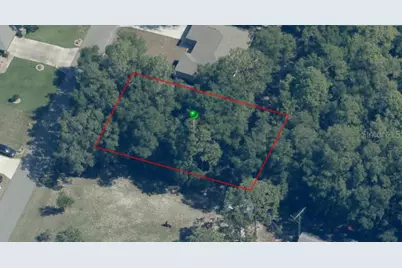 1180 W Bridge Drive, Citrus Springs, FL 34434 - Photo 1