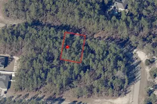 Tbd SW 138th Parcel 4, Ocala, FL 34473 - Photo 1