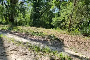 147th Rd, Live Oak, FL 32060 - Photo 1