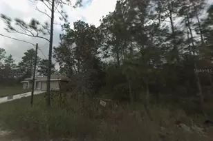 Lot 10 SW 41st Street Rd, Ocala, FL 34481 - Photo 1