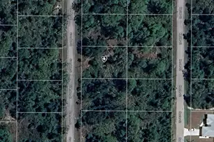 1290 Grendon St, Port Charlotte, FL 33953 - Photo 1