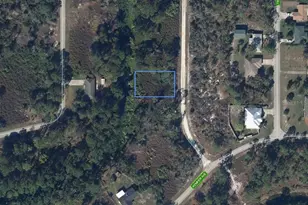 527 Rockefeller Ave, Lake Placid, FL 33852 - Photo 1