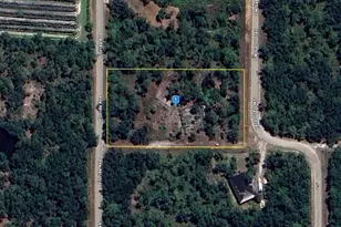 1747 SW Gator Trail, Arcadia, FL 34266 - Photo 1