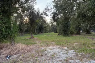 SE Townsend Ave, Arcadia, FL 34266 - Photo 1