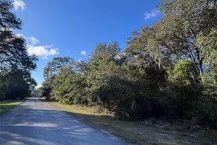 12587 W Flaxen Dr, Crystal River, FL 34428 - Photo 1