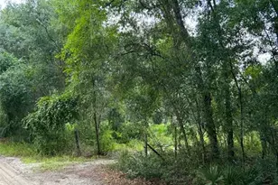 9437 SE 192nd Ave, Ocklawaha, FL 32179 - Photo 1