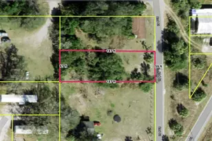 5923 North St, Wimauma, FL 33598 - Photo 1