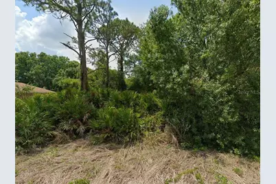 2235 Puffin Street, Sebring, FL 33870 - Photo 1