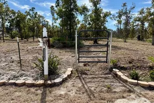 31581 Creek Trail, Punta Gorda, FL 33982 - Photo 1