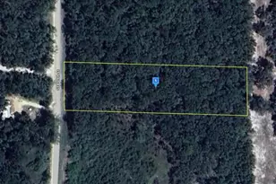 665 SE 709th St, Old Town, FL 32680 - Photo 1