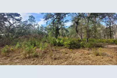 Se 68th Terrace, White Springs, FL 32096 - Photo 1