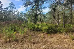 SE 68th Terrace, White Springs, FL 32096 - Photo 1
