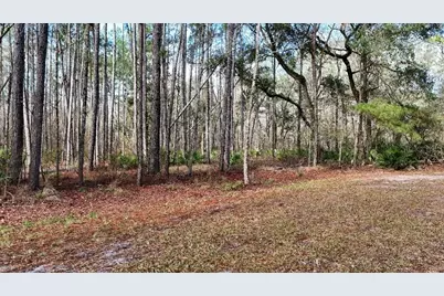 Se 68th Terrace, White Springs, FL 32096 - Photo 1
