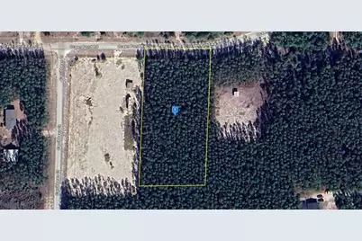 2531 Ocean Pond Road, Perry, FL 32348 - Photo 1