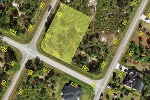 12534 Dietrich Ave, Port Charlotte, FL 33953 - Photo 1