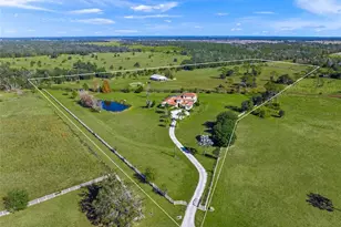 16123 Cutting Horse Trail, Myakka City, FL 34251 - Photo 1