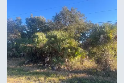 2503 54th Street SW, Lehigh Acres, FL 33976 - Photo 1