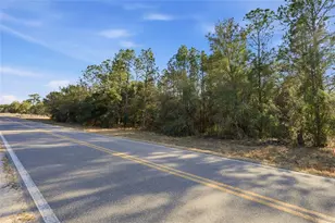 Gas Line Rd, Keystone Heights, FL 32656 - Photo 1