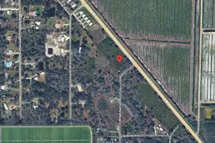 4649 SE Hwy 31, Arcadia, FL 34266 - Photo 1