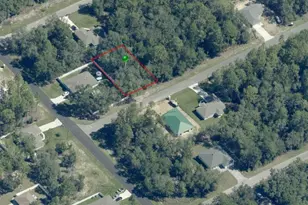 271 W Ruska Pl, Citrus Springs, FL 34434 - Photo 1