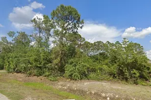 44th Street NE, Naples, FL 34120 - Photo 1