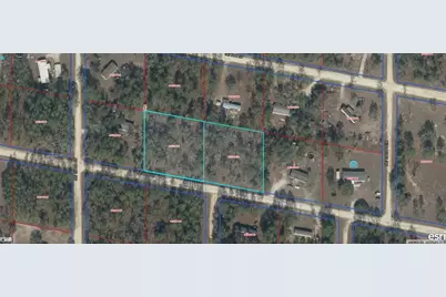 9771-006-00 & 9771-007-00 NE 4th Street, Williston, FL 32696 - Photo 1