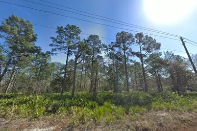 10610 Yeager Avenue, Hastings, FL 32145 - Photo 1