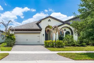 12822 Satin Lily Dr, Riverview, FL 33579 - Photo 1