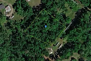 220 NE Pampass Grass Trail, Pinetta, FL 32350 - Photo 1