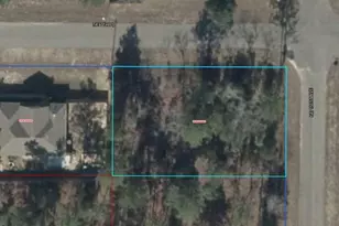 09263-000-00 NE 151st Ave, Williston, FL 32696 - Photo 1