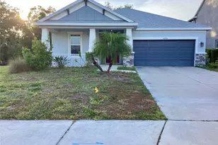 10705 Fieldstone Dr, Palmetto, FL 34221 - Photo 1